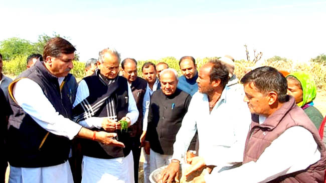 मुख्यमंत्री ने किया टिड्डी प्रभावित सांचौर क्षेत्र का दौरा किसानों को दिया हर संभव सहायता का भरोसा