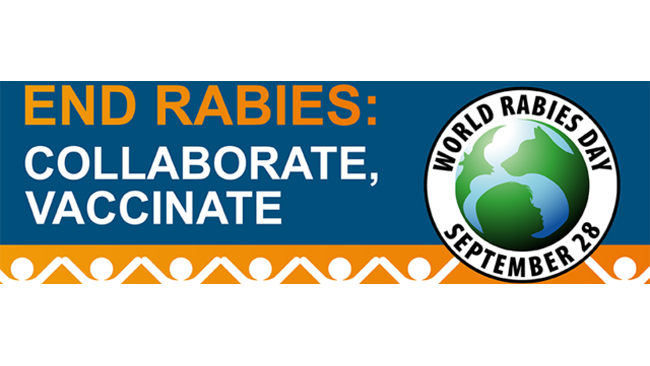 World Rabies Day: Rabies killed more people in India in the last 5 years than COVID-19