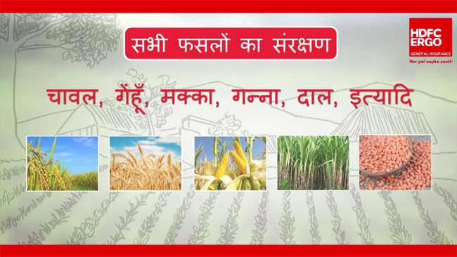 hdfc-ergo-implements-pradhan-mantri-fasal-bima-yojana-for-farmers-in-rajasthan-for-khrafi-season