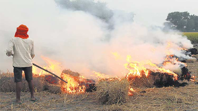guidelines-for-burning-of-crop-residues