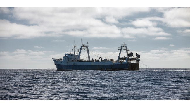 Conference on Bioresources and Fisheries in the Arctic Addresses Ways to Develop the Fishery Industry