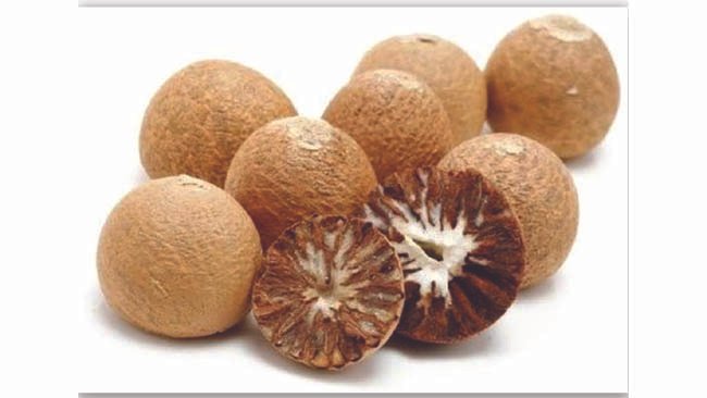 the-betel-nut-a-cultural-treasure-staple-of-india