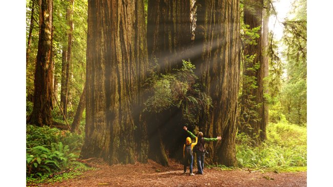 ihcl-reaffirms-commitment-to-responsible-resource-management-on-earth-day