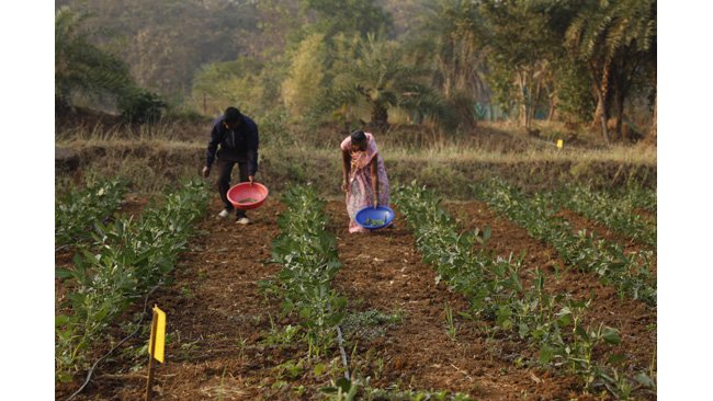 tata-motors-foundation-s-integrated-village-development-programme-reaches-nearly-200-villages-nationwide